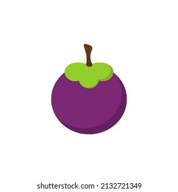 Mangosteen icon design template vector isolated illustration