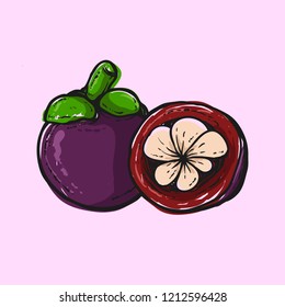 mangosteen icon handdrawn color