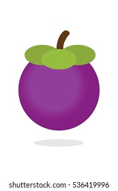 Mangosteen icon vector
