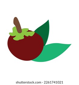 mangosteen icon vector illustration design