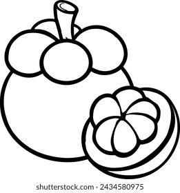mangosteen illustrator for coloring book