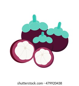 Mangosteen illustrator vector.
