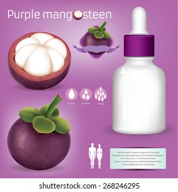 Mangosteen illustrator vector infographics