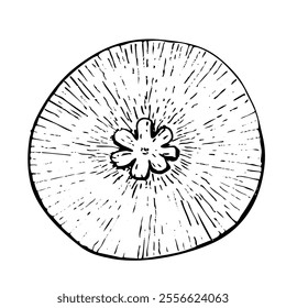 Mangosteen ink graphic vector illustration isolated on white background. High quality hand drawn black and white perfect for design, packages, restaurant menu, tropical fruit ads, label, logo and