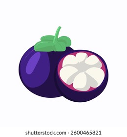 Mangosteen isolated , fresh exotic fruits, flat vector