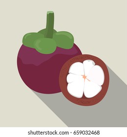 Mangosteen isolated , Mangosteen icon , Mangosteen on a light Background, vector illustration.