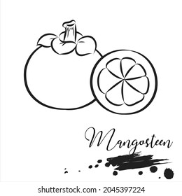 Mangosteen Line Art Vector Illustration