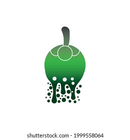 Mangosteen logo design template vector illustration 

