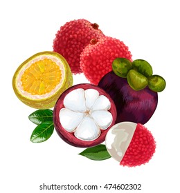 Mangosteen, lychee, passion fruit.  lychee fruit pattern. Vector illustration. mangosteen half with slices.
