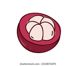 Mangosteen de fondo blanco. Ilustración vectorial de línea