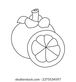mangosteen outline vector illustration, suitable for icon and graphic design elements