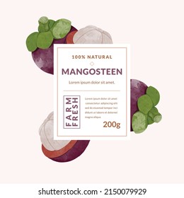 Mangosteen packaging design templates, watercolour style vector illustration.	
