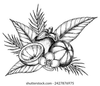 Mangosteen with palm leaves and flowers. Vector hand drawn illustration of exotic tropical Fruit painted by black inks. Drawing of asian food with garcinia and juicy slices. Sketch of mangostana.