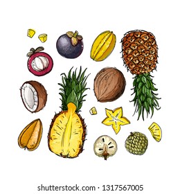 Mangosteen, pineapple, coconut, custard apple, Carambola. Fruits drawn by a line on a white background. Fruits from Thailand. Food sketch lines.