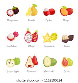 Mangosteen and pomelo, lychee and mango set exotic tropical fruits vector. Succulent carambola sliced star. Rambutan and pitaya chompoo, sugar apple