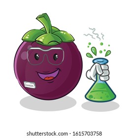 Mangosteen scientists hold chemical tubes and wear glasses cartoon. cute chibi cartoon mascot vector