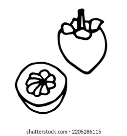 Mangosteen set doodle style vector illustration isolated on white background