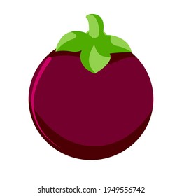 mangosteen simple vector art illustration 