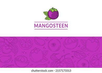 The mangosteen template is drawn with elements of a sketch-style doodle. Whole mangosteen, parts, leaves, slices, core. Collection of fruit images. Vector illustration.