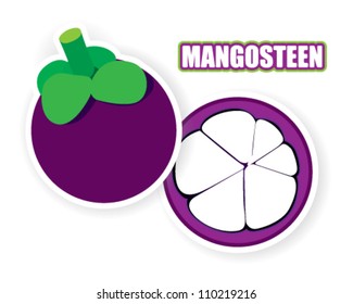 Mangosteen Vector