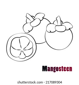 Mangosteen, vector Illustration
