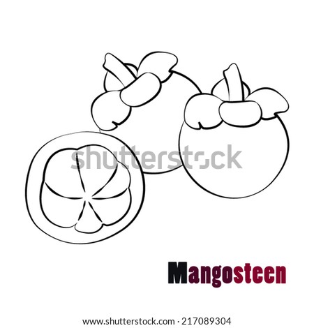 Mangosteen, vector Illustration