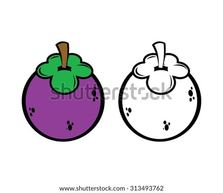 mangosteen vector illustration
