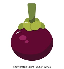  elemento de diseño de ilustración vectorial mangosteen