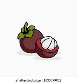 Mangosteen vector illustration isolated for all purpose