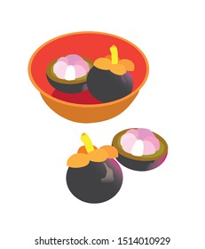 mangosteen, vector illustration, white background
