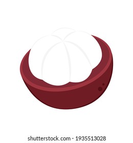 Mangosteen vector. Mangosteen on white background.