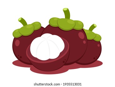 Mangosteen vector. Mangosteen on white background.