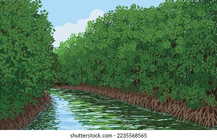 Mangrove Alley, a waterways flanked by mangrove forests, vector illustration