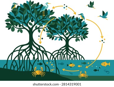 Mangrove ecosystem nutrient cycling diagram infographic with mangrove ecosystem nutrient infographic education environment wildlife conservation biological interconnected learning classroom
