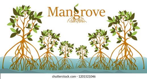 Mangrove forest background. Mangrove logo. EPS10