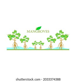 Mangrove forest background. Mangrove logo. EPS10
