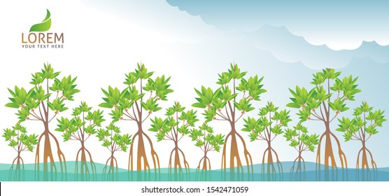Mangrove Forest Background Vector EPS 10