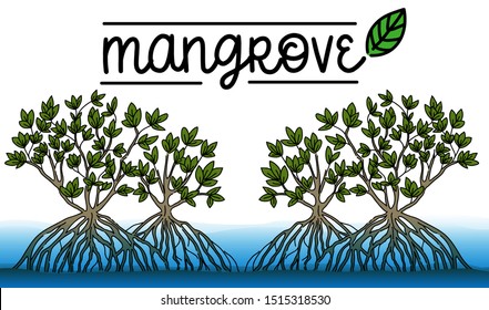 Mangrove forest background Vector Eps10