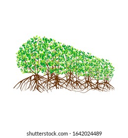 mangrove forest icon vector illustration eps 10