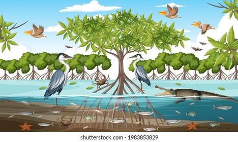 Mangrove forest landscape scene at daytime with many different animals illustration