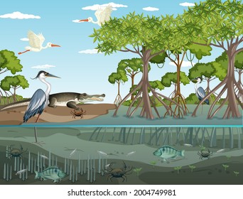 Mangrove forest landscape scene at daytime  illustration