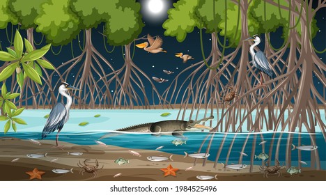 Mangrove forest landscape scene at night with many different animals illustration