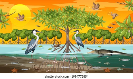 Mangrove forest landscape scene at sunset time with many different animals illustration