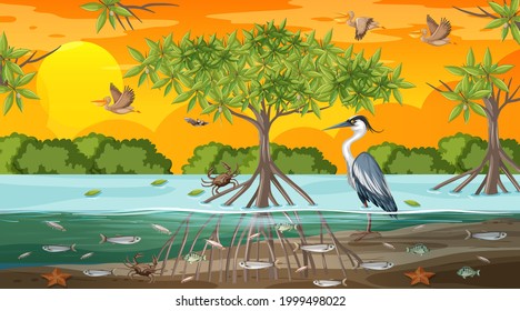 Mangrove forest landscape scene at sunset time with many different animals illustration