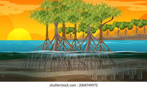 Mangrove forest landscape scene at sunset time illustration