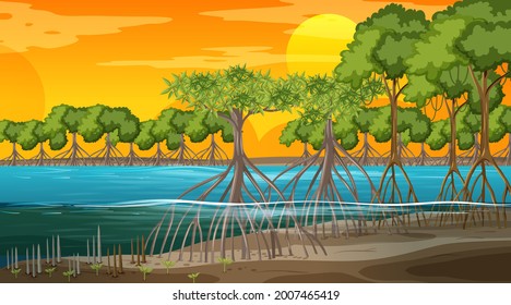 Mangrove forest landscape scene at sunset time illustration