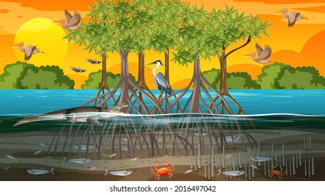Mangrove forest landscape scene at sunset time with many different animals illustration