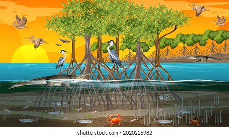 Mangrove forest landscape scene at sunset time with many different animals illustration