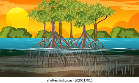 Escena del paisaje del bosque de manglares al atardecer