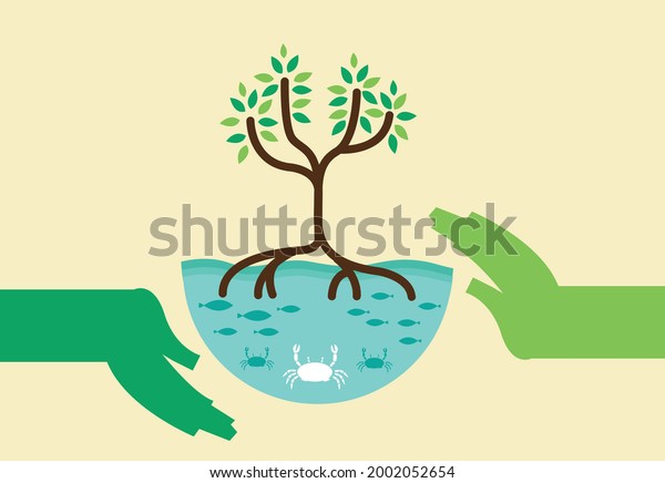 Mangrove\
Forest Preservation concept. Editable Clip\
Art.